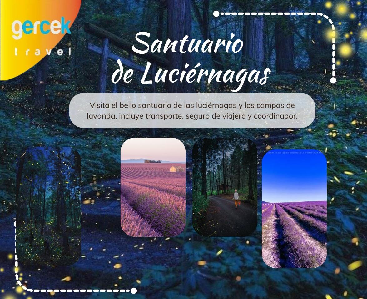 viaja-viaje-santuario-luciernagas-cotizacion-transporte-cordinador-reservacion-reserva-gercek-travel